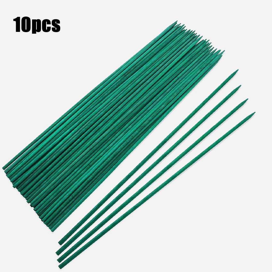 10pcs 40cm Green Plant Support - огляд і ціна Plant Support Stake